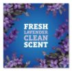Picture of Pine-Sol CloroxPro Multi-Surface Cleaner Concentrated, Lavender Clean Scent, 80 oz Bottle, 3/Carton